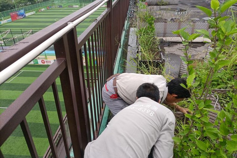 屋顶绿化施工